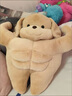 赟婭抽象肌肉大耳朵狗毛絨玩具公仔腹肌小狗玩偶床上陪睡娃娃生日禮物 腹肌大耳朵狗-35厘米 曬單實(shí)拍圖