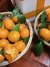 允農正宗廣東肇慶四會(huì )砂糖桔當季新鮮水果小橘子沙糖橘小桔子現摘現發(fā) 【精選裝】嚴選品質(zhì)丨甄選好果丨店長(cháng)力薦 凈重9斤【泡沫箱發(fā)貨】 曬單實(shí)拍圖