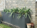 戶(hù)外不銹鋼花箱商業(yè)街花盆樣品屋展示中心隔斷花槽成品花壇可移動(dòng) 咖色：長(cháng)80x寬40x高50cm 曬單實(shí)拍圖