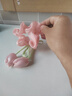 加恩倍新款女童春天氣息微光郁金香蝴蝶結大腸發(fā)圈甜美洋氣花朵流蘇發(fā)圈 粉色郁金香發(fā)圈一個(gè) 曬單實(shí)拍圖