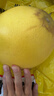 京鮮生 梅州白心蜜柚 單果1.7起 凈重10斤 生鮮水果 源頭直發(fā)包郵 曬單實(shí)拍圖