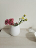 蜀門(mén)白色大口徑北歐創(chuàng  )意陶瓷高級感裝飾干花花瓶餐桌客廳插花鮮花擺件 海洋心三件套（素白） 曬單實(shí)拍圖