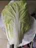 山東壽光大白菜黃心大娃娃菜農戶(hù)現摘新鮮蔬菜原產(chǎn)地整箱批發(fā) 壽光白菜4斤 曬單實(shí)拍圖
