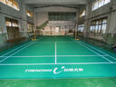 動(dòng)聯(lián)無(wú)界 羽毛球場(chǎng)地膠墊室內PVC運動(dòng)地板耐磨防滑氣排球場(chǎng)地膠墊 【套餐】水晶砂5.5+網(wǎng)柱+收卷器 曬單實(shí)拍圖