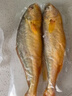 海名威 冷凍黃花魚(yú)700g/2條 寧德大黃魚(yú)地標 海鮮水產(chǎn) 生鮮魚(yú)類(lèi) 海魚(yú) 曬單實(shí)拍圖