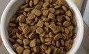 皇家狗糧 博美成犬狗糧 犬糧 寵物小型犬 PM26 全價(jià)犬糧 ≥8月 2KG 曬單實(shí)拍圖