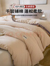 無(wú)印良品A類(lèi)100%新疆純棉花被子 春秋被芯空調被冬季棉被 厚6斤 200*230cm 曬單實(shí)拍圖