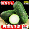 掛霜翠玉高原迷你冬瓜現摘新鮮蔬菜清新刮油減脂減肥 帶箱 9斤 曬單實(shí)拍圖