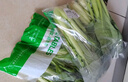 京鮮生 苦菊 600g 北京 簡(jiǎn)裝 新鮮蔬菜 曬單實(shí)拍圖