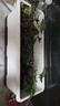 奧美優(yōu)陽(yáng)臺種菜盆種菜專(zhuān)用箱蔬菜種植箱樓房花箱自吸水長(cháng)花盆水培戶(hù)外 曬單實(shí)拍圖