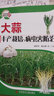 大蒜豐產(chǎn)栽培與病蟲害防治 曬單實拍圖