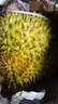 京鮮生 進(jìn)口金枕頭榴蓮 凈重5-6斤 1個(gè)裝  鮮果 生鮮 新鮮水果 曬單實(shí)拍圖