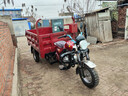 宗申三輪燃油 自卸騎士款水冷三輪摩托車(chē)，整車(chē)包郵 175cc自卸水冷發(fā)動(dòng)機1.3x2 曬單實(shí)拍圖
