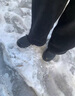 回力 雪地靴男冬季新款東北棉鞋男大碼抗寒防水加絨保暖輕便防滑靴子 黑色棉鞋-普通版 加絨 41  (255mm) 曬單實(shí)拍圖