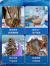 鮮京采大連即食海參 1斤 10-16只 固形物75% 京東自營(yíng) 海鮮 曬單實(shí)拍圖