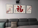 佐羅曼客廳裝飾畫(huà)沙發(fā)背景墻福字掛畫(huà)2025最新款簡(jiǎn)約大氣三聯(lián)掛畫(huà)掛墻壁 福祿滿(mǎn)堂A 中套【左右60*80+中110*80】晶瓷 曬單實(shí)拍圖