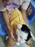 VOXCAE貓咪狗狗寵物衣服小型幼貓犬加厚加絨保暖衣服冬季寵物保暖衣服飾 【黃色】可愛(ài)小熊絨絨衣 【S碼】建議體重2.5-4斤 曬單實(shí)拍圖