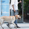 多尼斯（DOGNESS）狗狗牽引繩遛狗繩狗鏈子項圈中大型犬拉布拉多柴犬金毛邊牧 黑L 曬單實(shí)拍圖