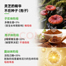 AHCCPro日本阿明諾凍干粉提升免疫力靈芝孢子粉中老年保健術(shù)后營(yíng)養品 3盒90袋裝（下單送30粒膠囊） 曬單實(shí)拍圖