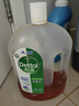 滴露（Dettol）消毒液250ml 衣物消毒水家居室內環(huán)境地板消毒 衣物除菌劑甲流感 曬單實(shí)拍圖
