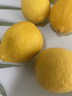 四川安岳黃檸檬9斤新鮮水果當季現摘皮薄一級香水檸檬塔希提青檸M 3斤【新鮮現摘】 曬單實(shí)拍圖