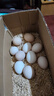 合味君 農家新鮮初生蛋現撿柴雞蛋單枚40±5g土雞蛋 20枚800g 曬單實(shí)拍圖