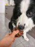柒哦狗狗零食樂(lè )芙球狗磨牙棒中小型犬寵物鴨肉干咕嚕咬膠蛋黃夾心牛皮 鴨肉纏繞樂(lè )芙球100g/個(gè) 曬單實(shí)拍圖
