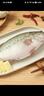 鮮活沖浪河鱸魚(yú)400-500g/條 曬單實(shí)拍圖