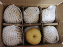 三萌果蔬正宗山東秋月梨 新鮮現摘萊陽(yáng)冰糖梨子水果禮盒節日送禮 【甄選級-大果】單果300-350g 5斤裝【店長(cháng)力薦-80%選擇】?jì)糁?.5斤 曬單實(shí)拍圖