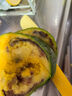 【京東快遞】臺芒海南當即熱帶水果芒果當季應季水果 帶箱2斤單果70g 曬單實(shí)拍圖