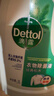 滴露（Dettol）衣物除菌液 松木3L 內衣兒童衣物殺菌除螨 衣服洗衣衣物消毒液 曬單實(shí)拍圖