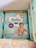 幫寶適（Pampers）日本原裝進口 一級幫 兒童嬰兒紙尿褲拉拉褲新生兒男女通用尿不濕 紙尿褲尿片 新生兒NB(-5kg)60片 曬單實拍圖