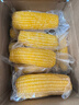 東鐵村2025年當季鮮玉米 真空玉米 東北黃糯玉米棒 粘苞米穗 軟糯拉絲 黃糯玉米 4.4斤 曬單實(shí)拍圖