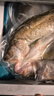 釣魚(yú)記開(kāi)背海鱸魚(yú)1斤-1.3斤 三去凈重 冷凍 生鮮 魚(yú)類(lèi) 海鮮水產(chǎn) 曬單實(shí)拍圖