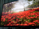 泰坦軍團27英寸 2304分區 MiniLED 4K170Hz雙模340Hz DyDs技術(shù) HDR1400 Type-C 90W 電競顯示器P275MV MAX 曬單實(shí)拍圖
