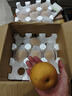 京鮮生山東煙臺萊陽(yáng)秋月梨凈重8斤 單果300g+ 生鮮水果 源頭直發(fā)包郵 曬單實(shí)拍圖
