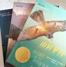 【正版】山居歲月系列全3冊  山居歲月+遠山深處+驚風(fēng)的山 紐伯瑞兒童文學(xué)獎銀獎 中小學(xué)生三四五六年級課外閱讀書(shū)籍 新蕾出版社 【3冊】山居歲月系列 曬單實(shí)拍圖