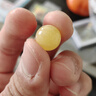 炫夏天然俄料琥珀蜜蠟單珠雞油黃白花蜜圓珠手串單顆散珠男女款配珠 蜜蠟珠子約11毫米單顆（附證書(shū)） 曬單實(shí)拍圖