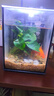 千潯水族桌面魚(yú)缸小型魚(yú)缸辦公室桌面迷你小魚(yú)缸微景觀(guān)自循環(huán)造景全套家用 150*150*200mm（送造景大禮包） 曬單實(shí)拍圖