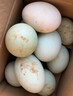鴨蛋新鮮生鴨蛋60-70g土鴨蛋農(nóng)家散養(yǎng)青皮白皮生鮮食品超市批發(fā) 10枚 曬單實拍圖