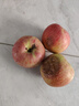 2025粉面沙甜陜西老樹(shù)秦冠蘋(píng)果新鮮孕婦水果老人寶寶輔食刮泥整箱 凈重【5斤小果】粉面果 曬單實(shí)拍圖
