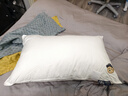 Teenie Weenie小熊a類(lèi)純棉枕頭冬季全棉枕芯家用不塌陷宿舍酒店羽絲絨軟枕頭 全棉單邊款公仔 A類(lèi) 中枕-單只裝 曬單實(shí)拍圖