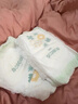 巴布豆（BOBDOG）新菠蘿拉拉褲XL碼36片（11.5-14kg）嬰兒尿不濕 超薄透氣 曬單實(shí)拍圖