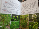 800種中草藥野外識別彩色圖鑒 曬單實(shí)拍圖