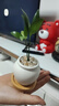 八芽盆栽發(fā)財(cái)樹(shù)植物室內(nèi)禪意招財(cái)樹(shù)盆景辦公室桌面綠植源頭直發(fā)包郵 單粗桿發(fā)財(cái)樹(shù)-山居盆-大密胺托盤(pán) 含盆 曬單實(shí)拍圖