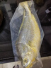海名威寧德三去大黃魚(yú) 對半厚切黃花魚(yú) 凈重700g/2片 海鮮水產(chǎn) 魚(yú)類(lèi)  曬單實(shí)拍圖