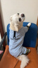 戴拉沛塔狗狗衣服小型犬冬季保暖四腳衣可牽引泰迪比熊雪納瑞冬款厚棉衣 好運藍色 2XL 建議11-15斤 曬單實(shí)拍圖