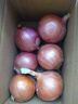 京鮮生 河南紫皮洋蔥帶皮 凈重5斤 單果300g+ 新鮮蔬菜源頭直發(fā) 曬單實(shí)拍圖