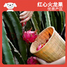 京鮮生 紅心火龍果大果6粒裝 單果300g 凈重3.6斤 新鮮水果 曬單實(shí)拍圖