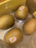 佳沛（zespri）新西蘭  陽(yáng)光金奇異果10粒禮盒巨大果單果約144-175g 水果 獼猴桃 曬單實(shí)拍圖